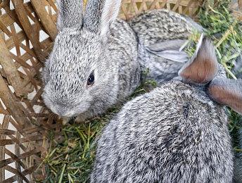 微软开始“灵魂”拷问：为啥你们为PS5开发游戏 略过Xbox？